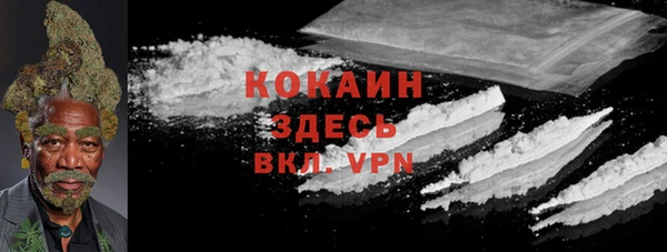 молекула духа Богородицк