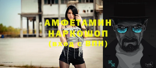 молекула духа Богородицк
