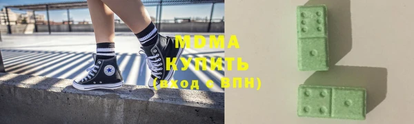 молекула духа Богородицк