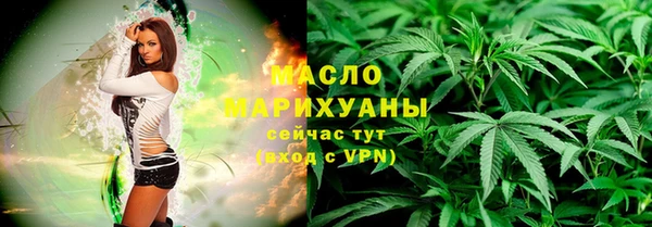 молекула духа Богородицк