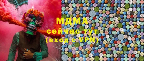 молекула духа Богородицк