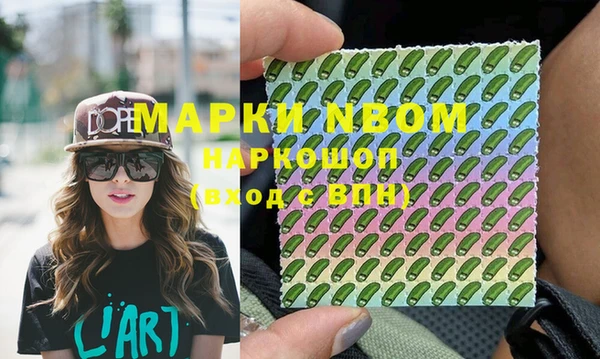 молекула духа Богородицк