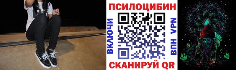 Галлюциногенные грибы Psilocybe  Цоци-Юрт 